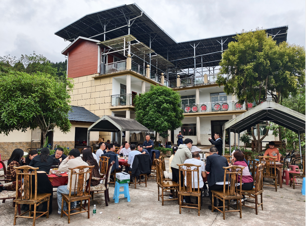 69ddf27db946a.png